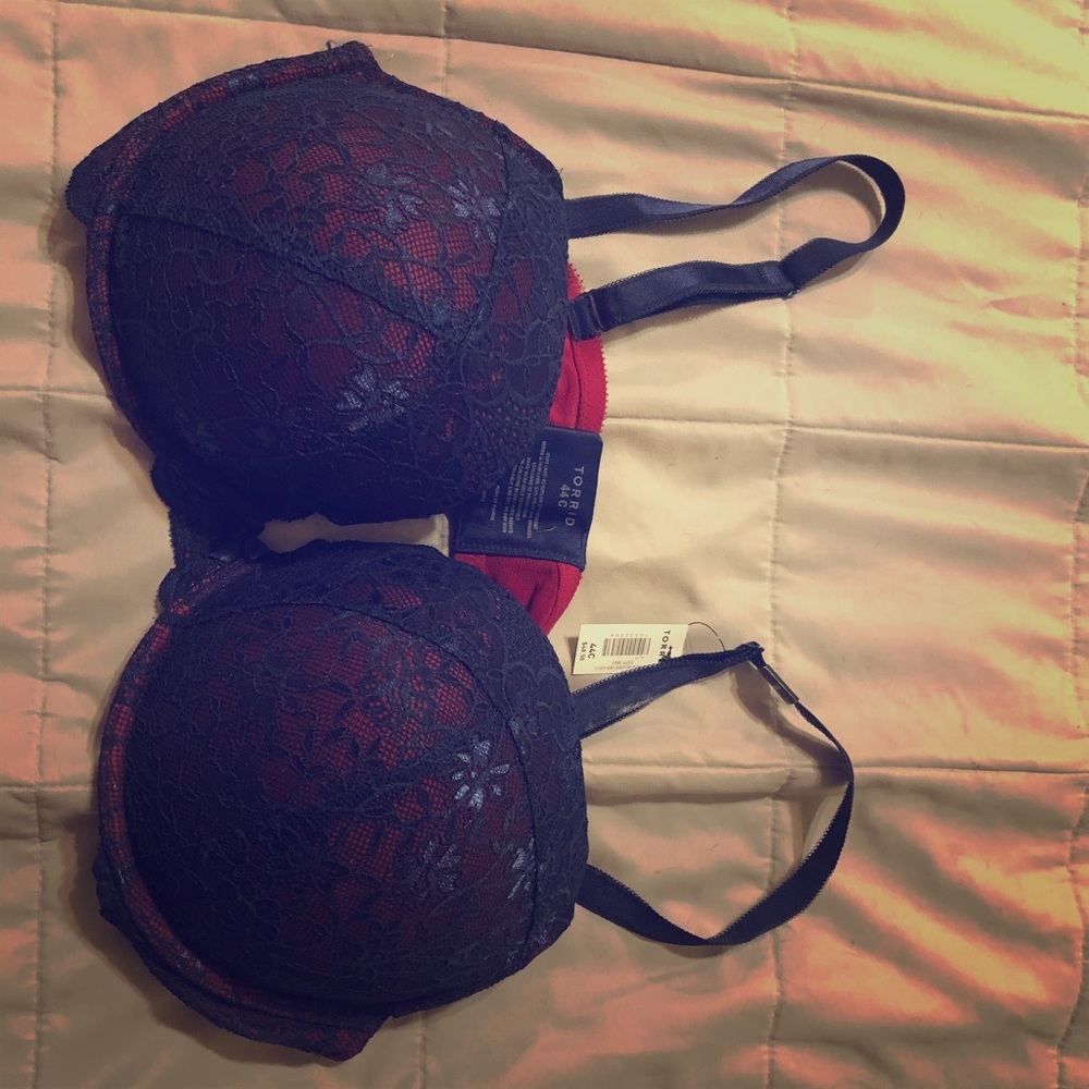 Torrid Push Up Plunge Bra